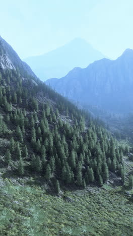 una impresionante vista de una cordillera con un bosque en primer plano