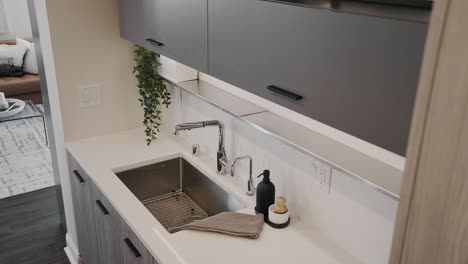 modern kitchen sink with white accents and green plants