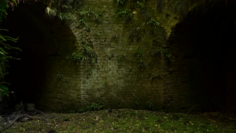 hidden old concrete tunnel entrances in the forest