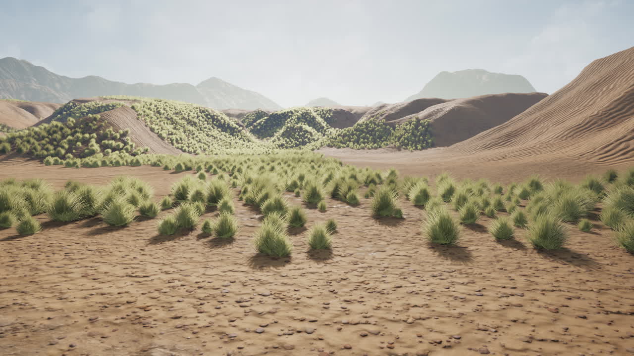 モンゴルのゴビ砂漠の風景