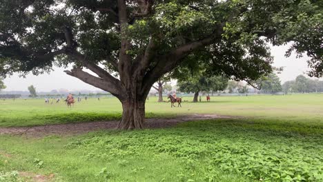 policías a caballo realizan un ejercicio en kolkata