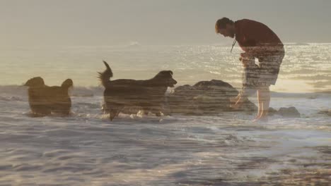 video compuesto de agua corriente contra el padre, el hijo y dos perros en la playa