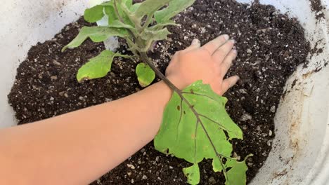 Child-gardening