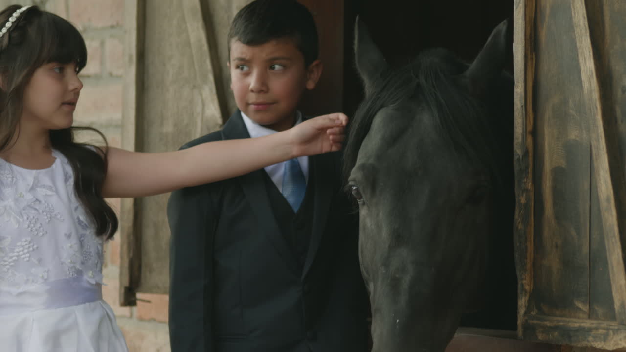 A boy in a suit and a girl in a white dress, dressed as pageboys, tenderly stroke a black horse from a stable window.