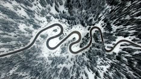 antena: camino en el bosque con nieve en dolomitas