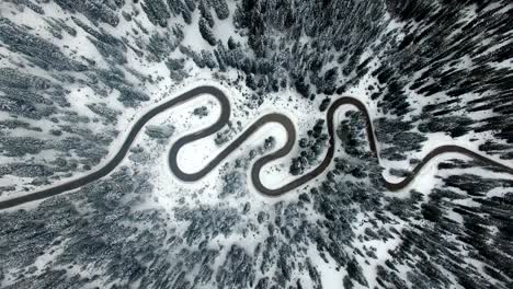 aerial: road in forest with snow in dolomites