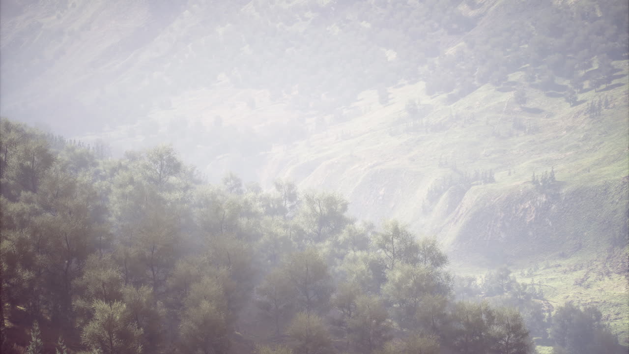 Misty morning over rolling hills and lush vegetation during early hours