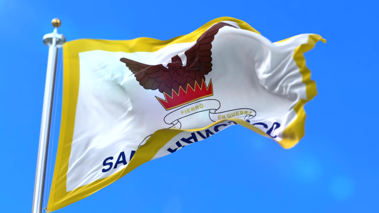 미국 샌프란시스코 시의 발 - 루프