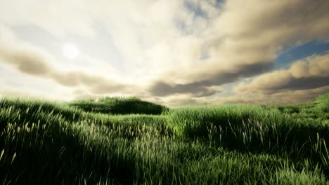 Nubes-De-Tormenta-Sobre-Pradera-Con-Hierba-Verde