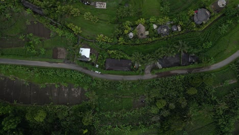 vista a vista de pájaros de un camino de la jungla en las profundidades de bali, indonesia