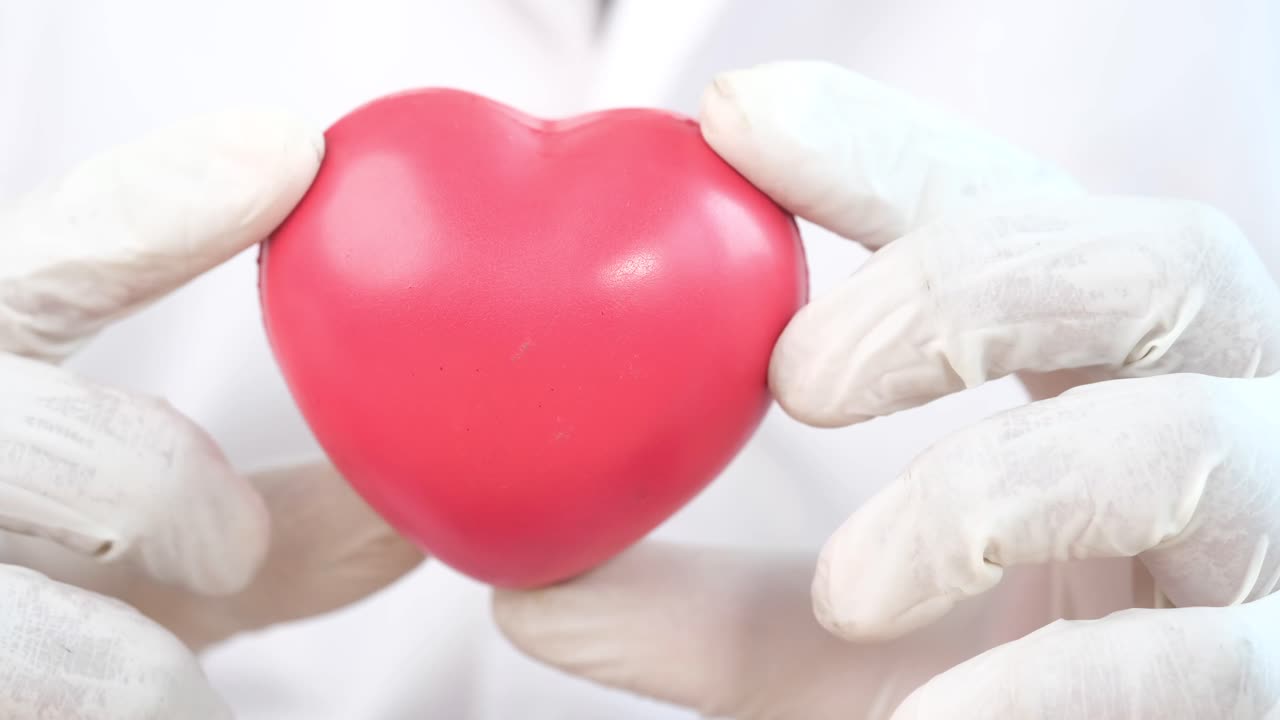 médico con un modelo de corazón