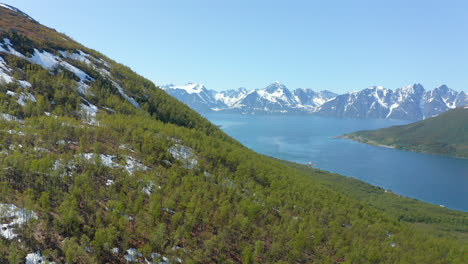 Aerial-view-over-hillside-forest,-towards-the-Arctic-ocean-and-the-snowy-Lyngen-fjord-alpines,-bright,-summer-day,-in-Rotsund,-Troms,-Nordland,-Norway---dolly,-drone-shot