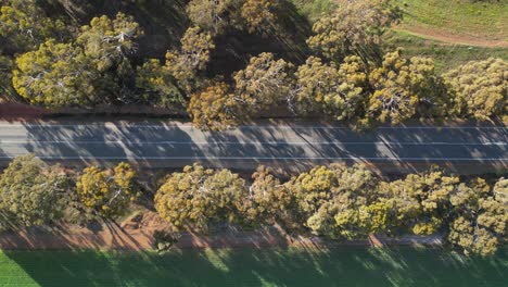 Deserted-rural-road-between-rows-of-trees