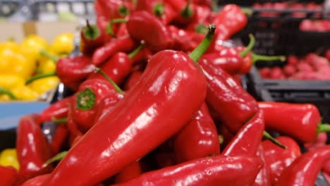 bulgarian red ripe bell pepper close up bulgarian red ripe bell pepper close up harvest of red pepper for sale vegan organic food