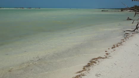 aguas cristalinas y poco profundas en la playa de la isla holbox, quintana roo, méxico