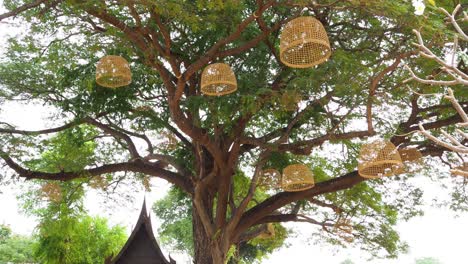 people stroll through a park with decorative trees