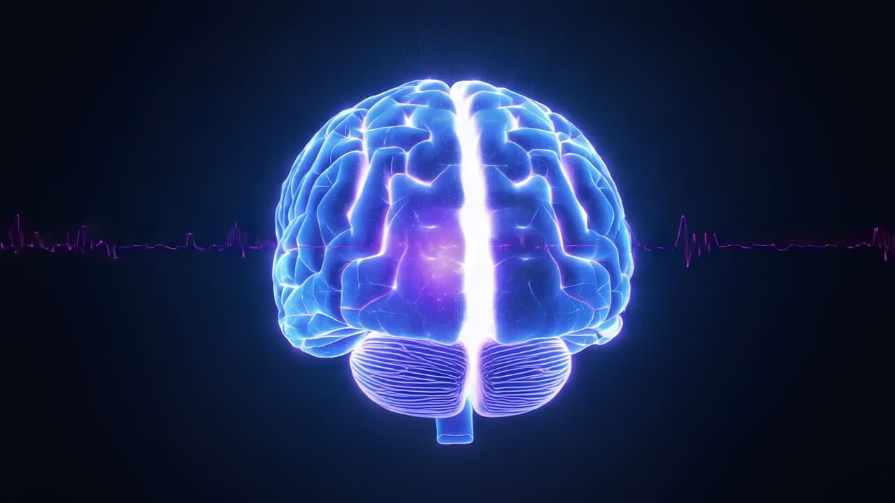 Forming 3D-rendered brain rotating in void, pulsing horizontal waveform and neural network lines