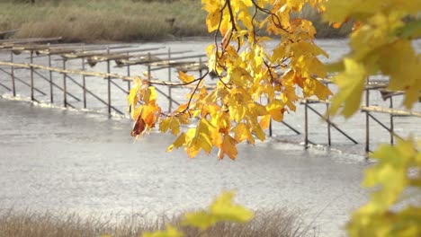 Wooden-bridge-over-the-river