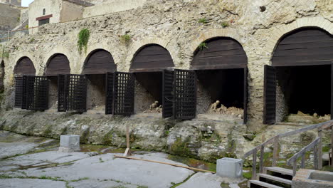 skeletal remains still covered in volcanic ash inside the boatsheds of the ancient roman city of herculaneum