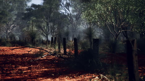 cercas fronterizas rurales en mal estado y hierba seca muerta desde hace mucho tiempo