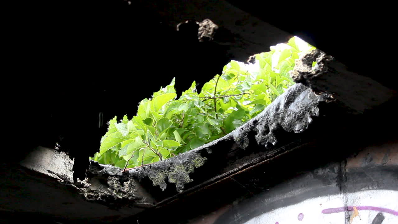 agujero en el techo y graffiti en las paredes