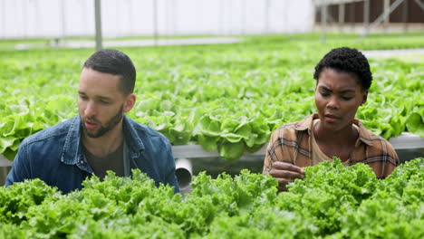 man, woman and farming with plants in greenhouse