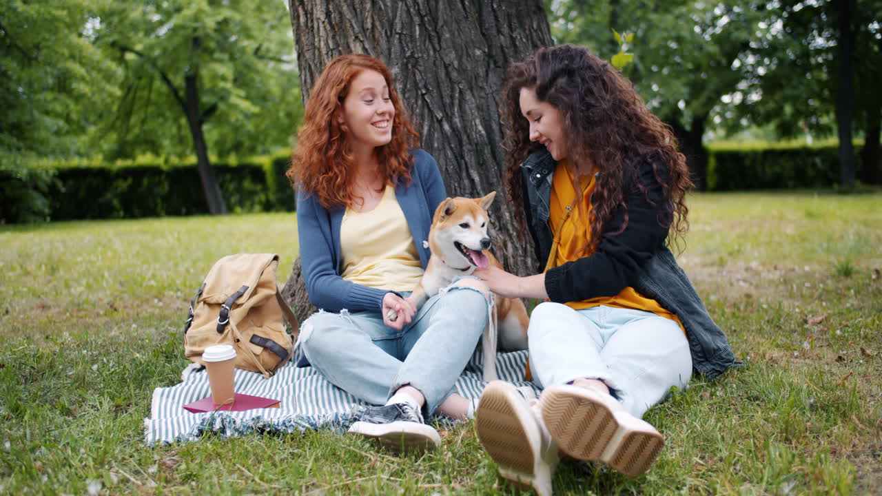친구 들 이 개 와 함께 공원 에서 피크닉 을 즐기고 있다