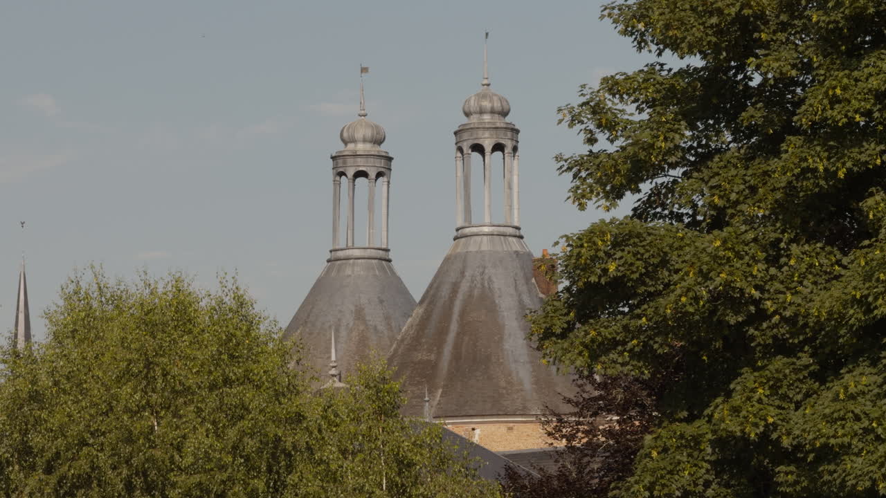 Shot of two turrets or towers of Saint-Fargeau Castle in France with lush green foliage in foreground
