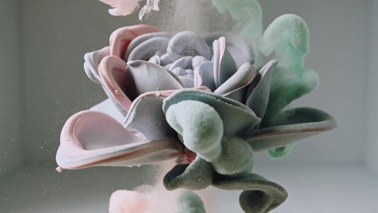 Rilascio di un soffice pennacchio rosa in una vasca da studio, che si mescola con verde menta e grigio, formando una fioritura.