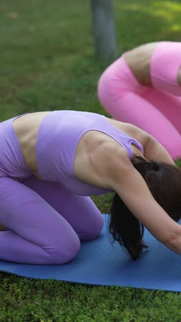 women practicing yoga outdoors