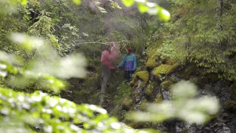 person in a forest with red smoke