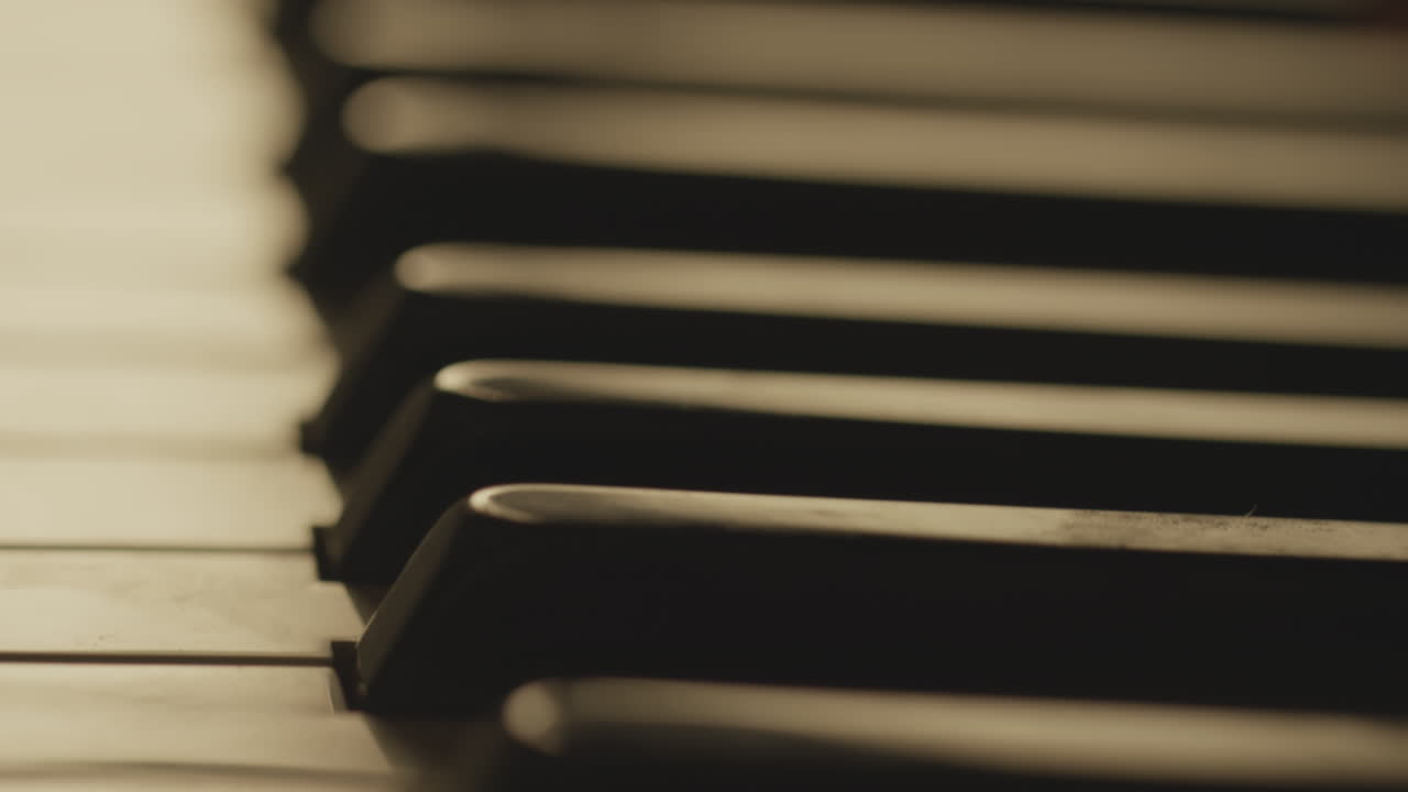 피아노 건반은 흑백입니다