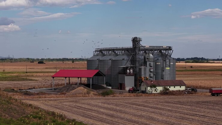 Large industrial metal grain silos stand in a vast rural field, representing agricultural storage capacity during the autumn harvest season.