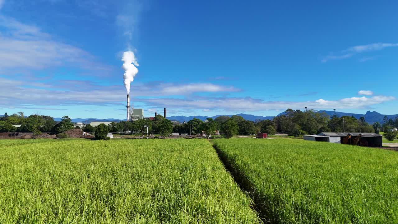 Aerial footage of lush sugarcane fields with a factory emitting smoke under clear blue skies