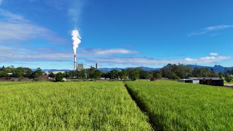 aerial footage of lush sugarcane fields with a factory emitting smoke under clear blue skies