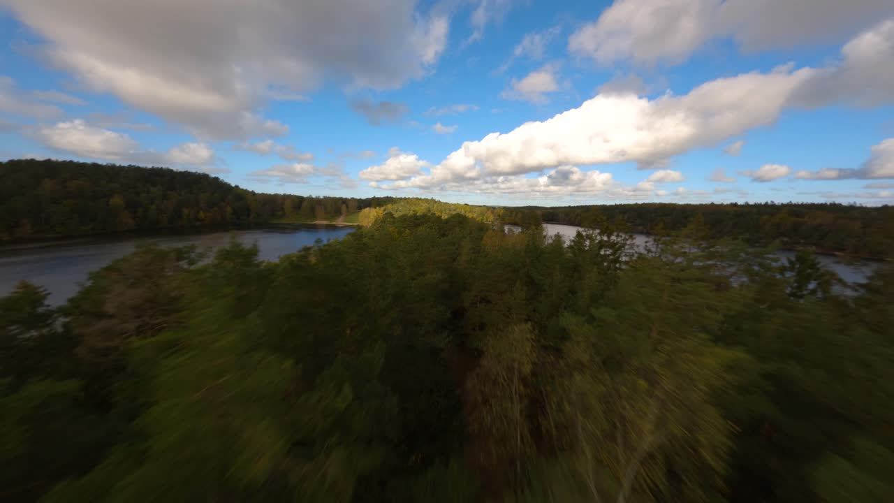 FPV drone proximity flight over tree tops by a lake in autumn