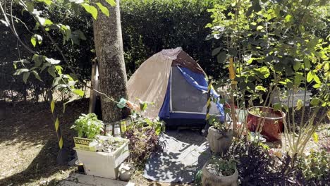 financial challenges, homeless accommodation, poor living conditions
