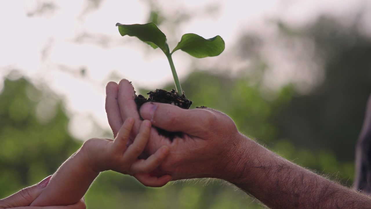 Close up of adult and child hands holding a young plant outdoors sustainability environmental care growth