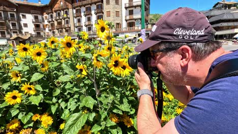 ein mann fotografiert sonnenblumen in piemonte, italien