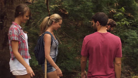 group of friends walking downhill through a forest