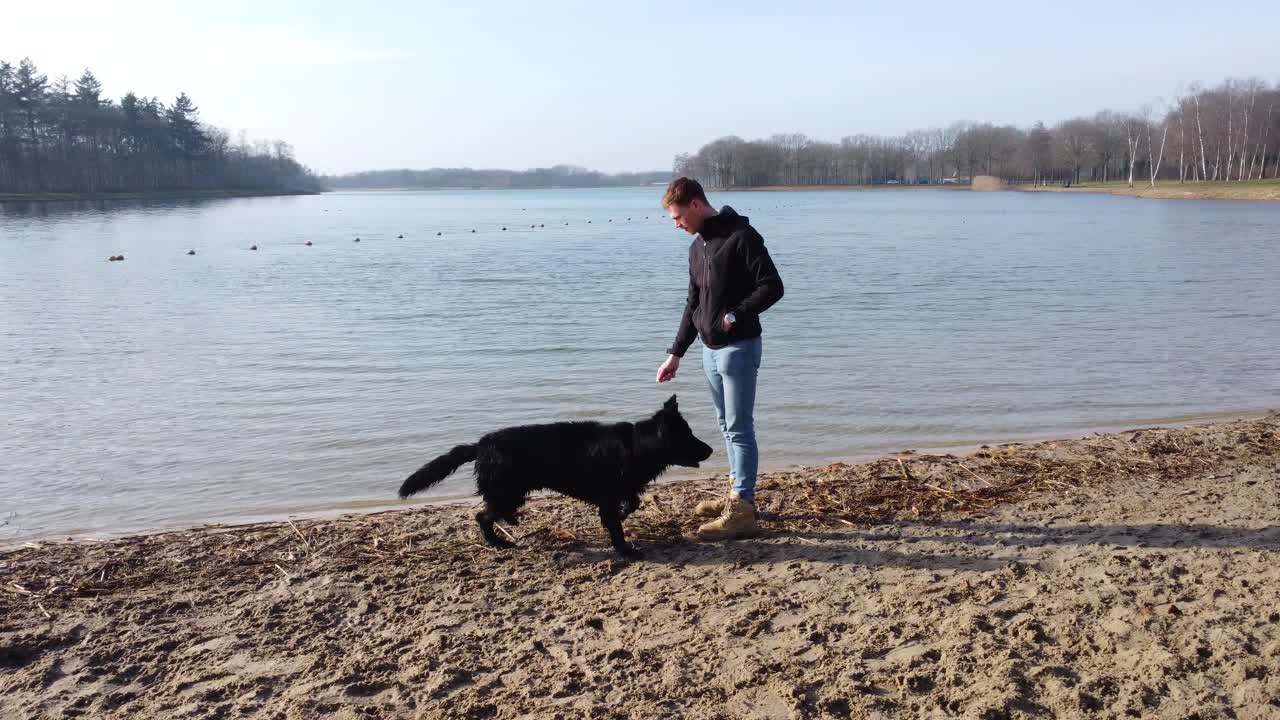 개가 달릴 때 노는 개와 남자