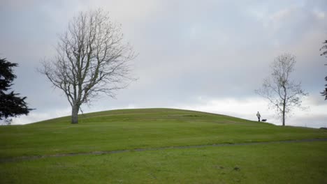 man walking the dog in a park on the hill with two bare trees