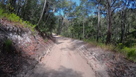punto de vista de conducción mirando hacia atrás pov 4x4 a lo largo de una pista interior arenosa recta y llena de baches, con matorrales espesos y árboles colgantes - ideal para el reemplazo de la pantalla verde de la escena interior del automóvil