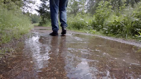 person hiking in a forest path after rain