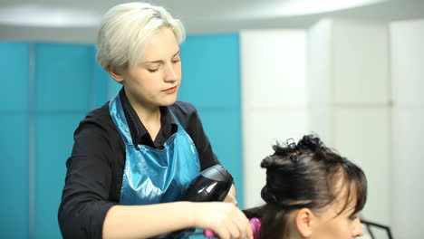 woman client hair in beauty parlour hairdressing salon
