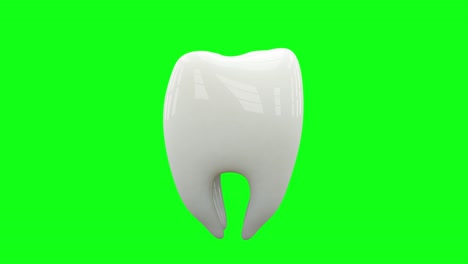 health tooth loop rotate on green screen