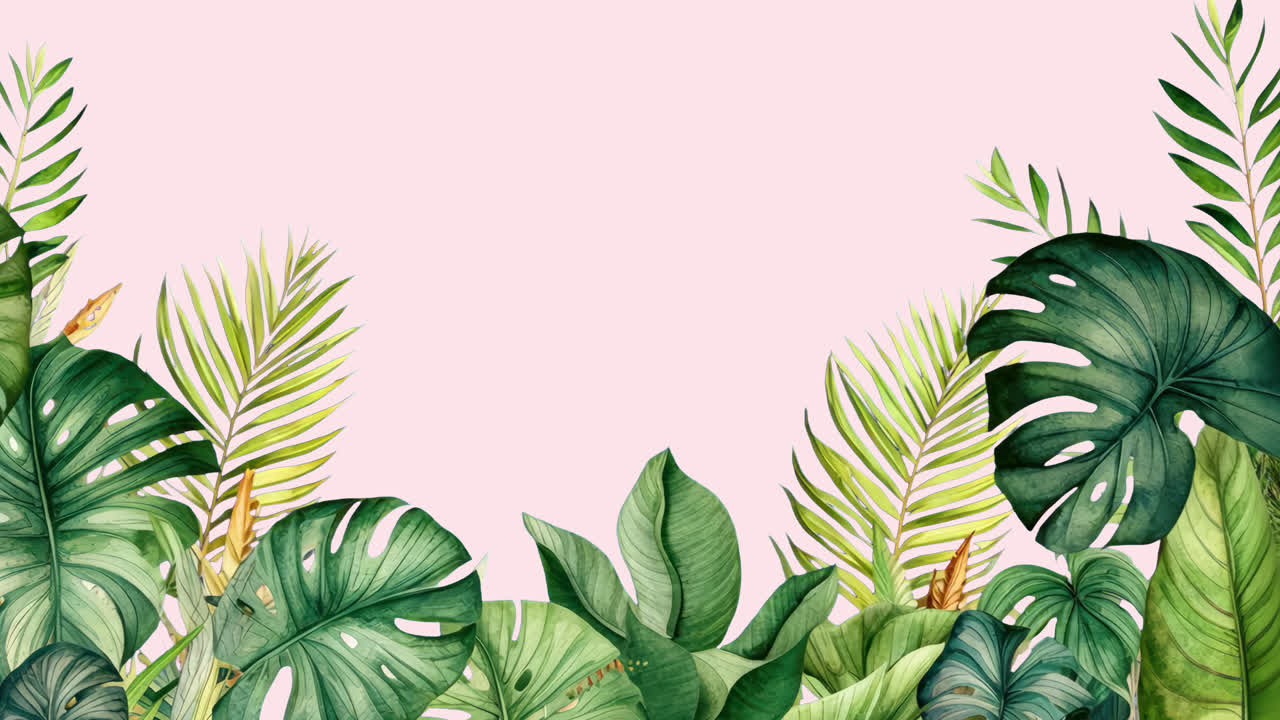 Tropical leaves border animated overlay, transparent 4K video, alpha channel, ProRes 4444