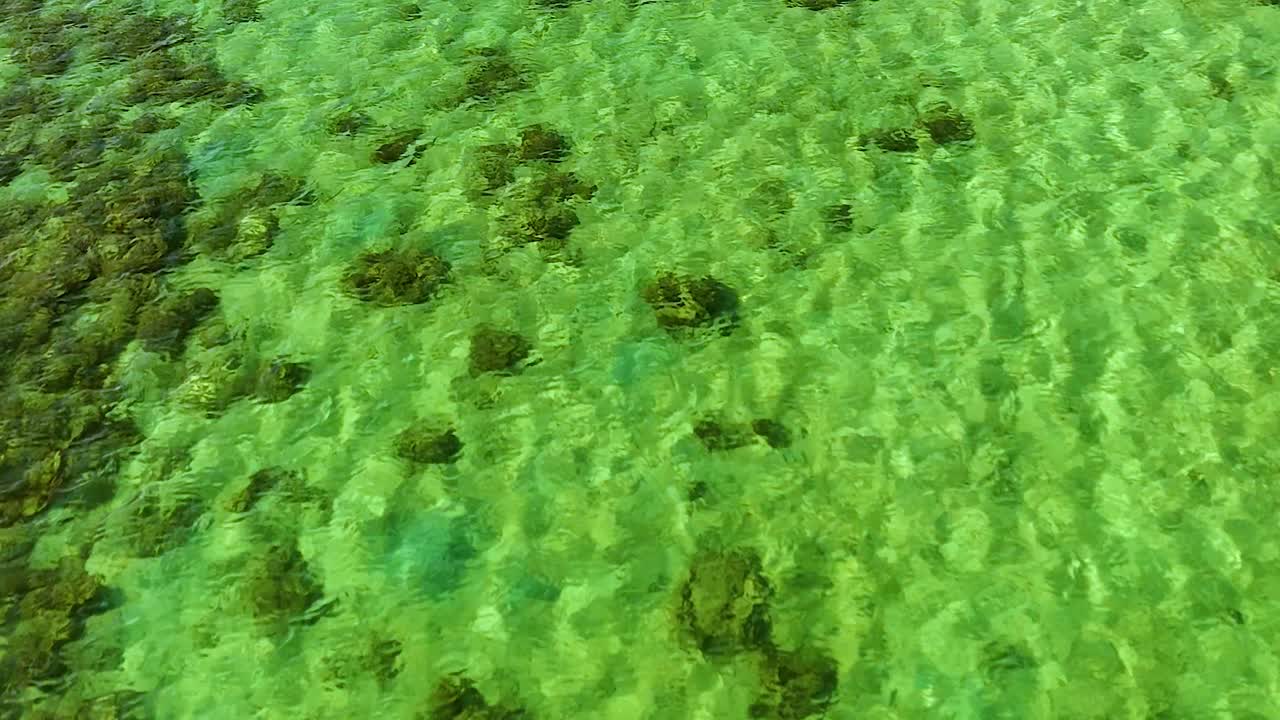 Ripresa aerea con drone da alta angolazione riprende vivaci formazioni coralline attraverso l'acqua cristallina dell'oceano tropicale.