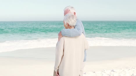 Pareja-De-Ancianos-Mirando-El-Mar