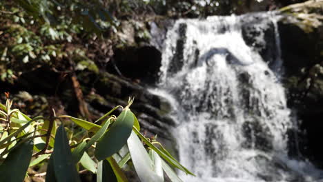 Weitwinkelaufnahme-Eines-Wasserfalls-Mit-Rhododendron-Im-Vordergrund,-Aufgenommen-In-Zeitlupe-Mit-180-Fps